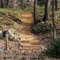 echelle-de-meunier-et-mezzanine-escalier-dans-la-nature